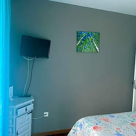 Flavia Hostel *